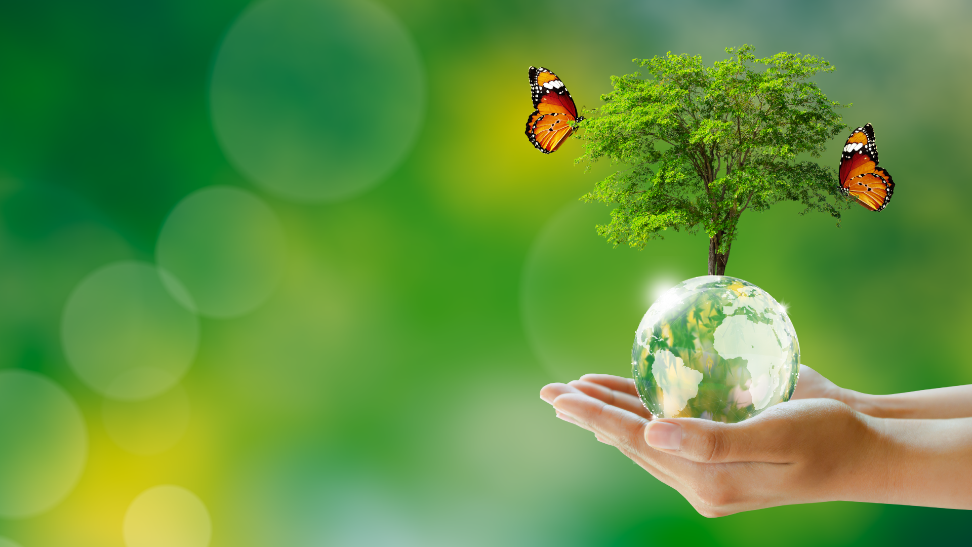 ESG for Everyone - Principles, Purpose &amp; Practice